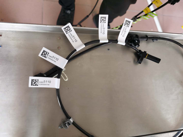 lopulliset tarratulostinnäytteet (3).jpg