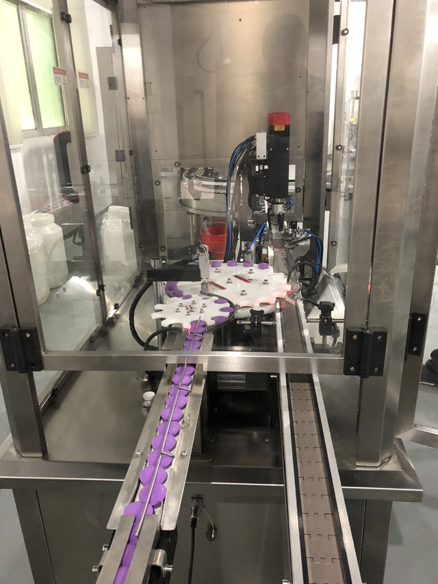 sivukuvia capper.JPG:lle